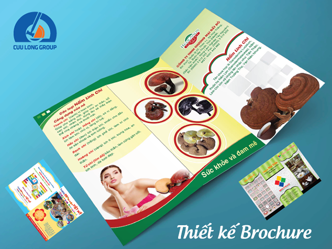 Thiết kế Brochure
